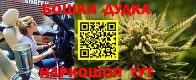 дживик Новодвинск