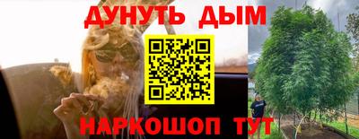 ПСИЛОЦИБИНОВЫЕ ГРИБЫ Новозыбков